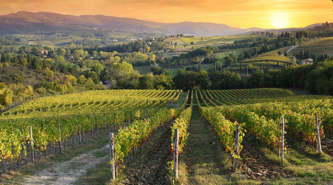 Osteria Pratellino Firenze - Carta dei Vini - Wine List